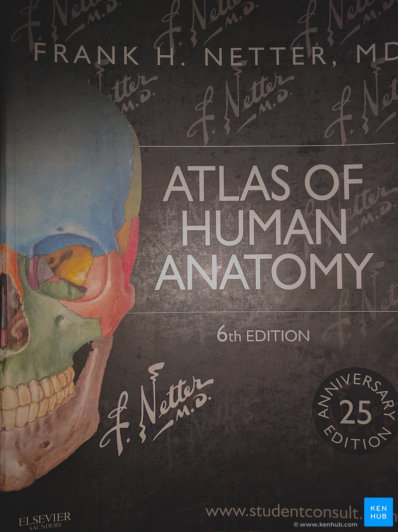 Netter's Atlas of Human Anatomy - Cover