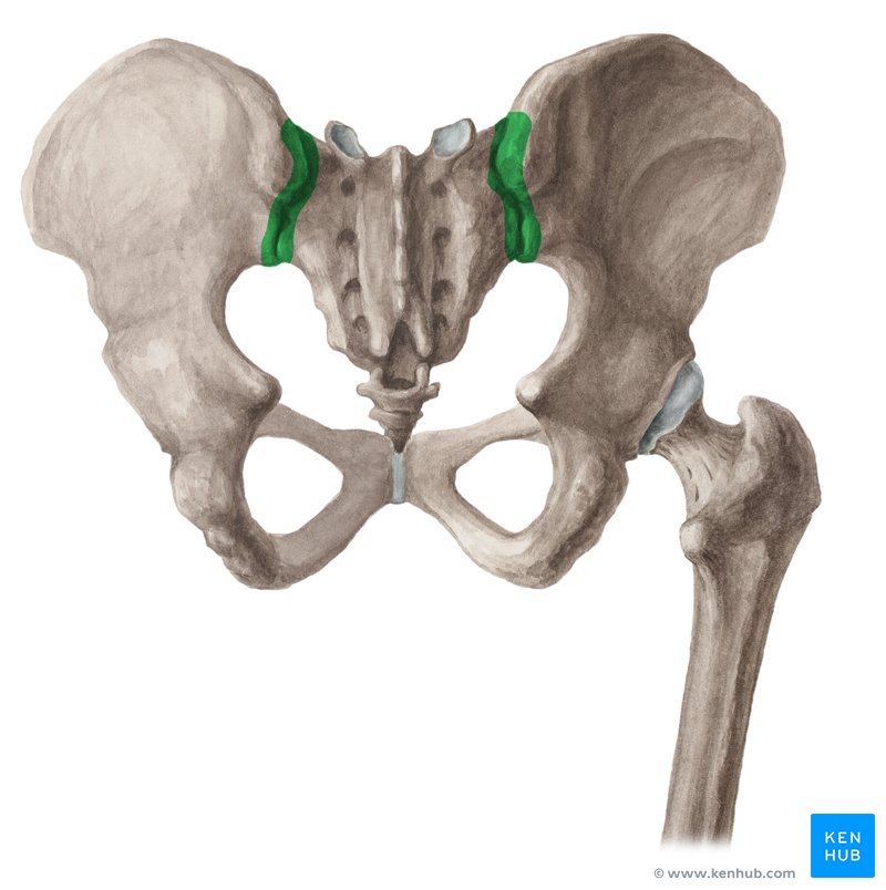 articulatie sacroiliaca tratament pentru fracturile articulației cotului