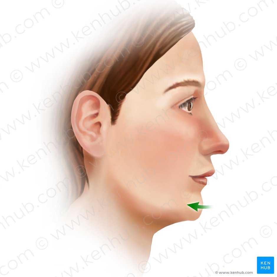 Retrusão da mandíbula (Retractio mandibulae); Imagem: Paul Kim