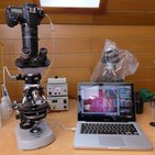 Types and parts of microscopes