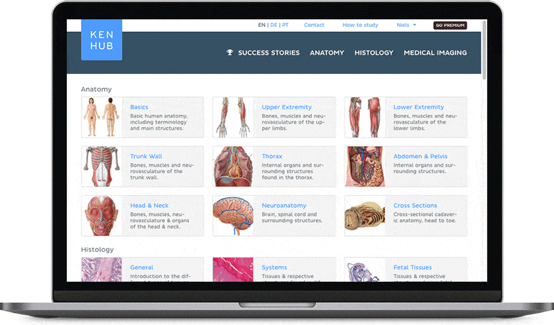 Free online atlas: Anatomy of the human body, made | Kenhub