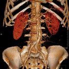  Medizinische Bildgebung und radiologische Anatomie