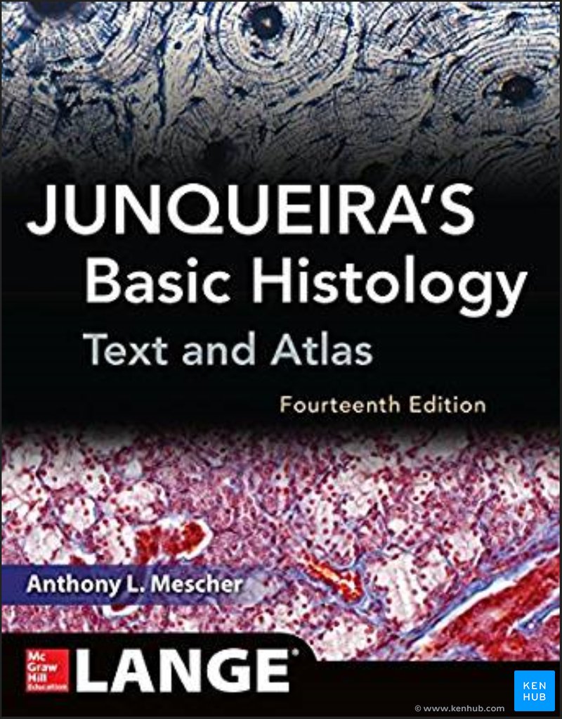 Junqueira's Basic Histology - Cover