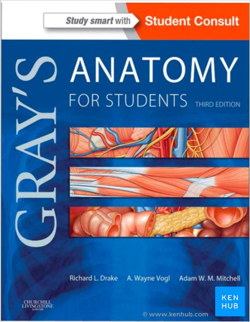 Gray's Anatomy for Students - Cover