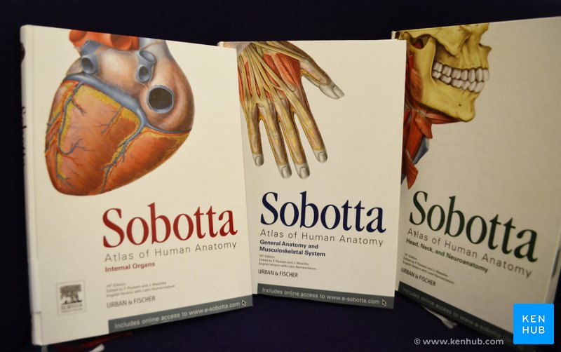 Review: Sobotta - Atlas of Human Anatomy | Kenhub